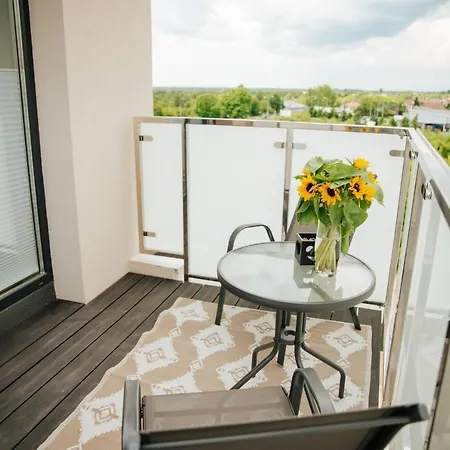 Eu 'garaż Gratis' * Częstochowa