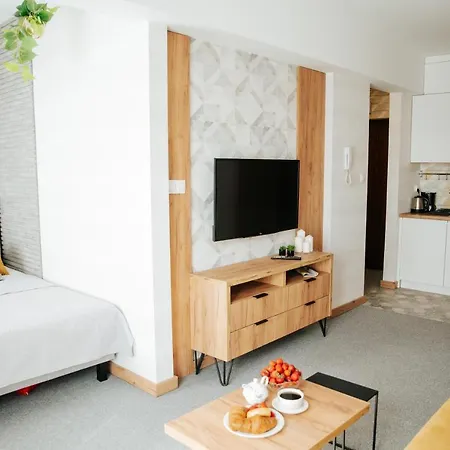 Apartment Eu 'garaz Gratis' Czestochowa