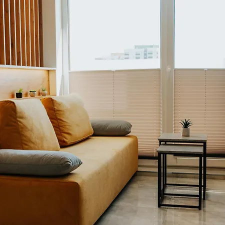 Eu 'garaz Gratis' Częstochowa