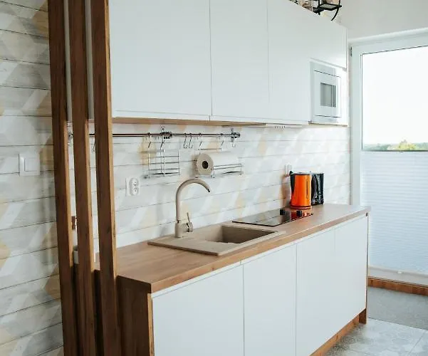 Apartment Eu 'garaz Gratis' *