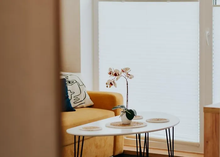 Eu 'garaz Gratis' Częstochowa