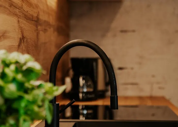 Eu 'garaz Gratis' * Częstochowa